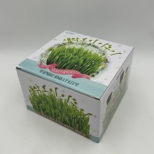 7000 프랜즈 새싹보리 키우기 과학학습 체험학습 관찰용 학습용